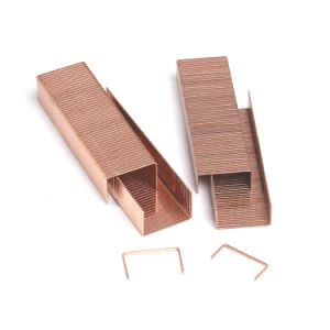 Carton Staple (C34) for Packing - Image 1