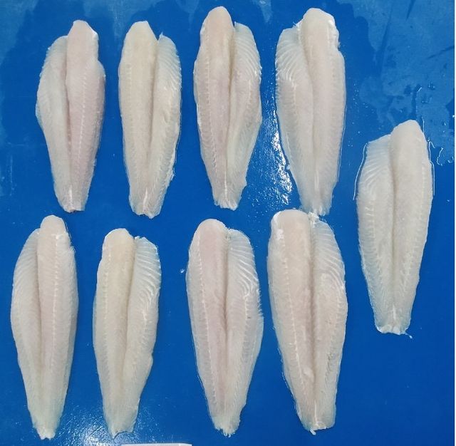 100% fresh pangasius best price from Vietnam high quality whole sale fresh fish - Image 4