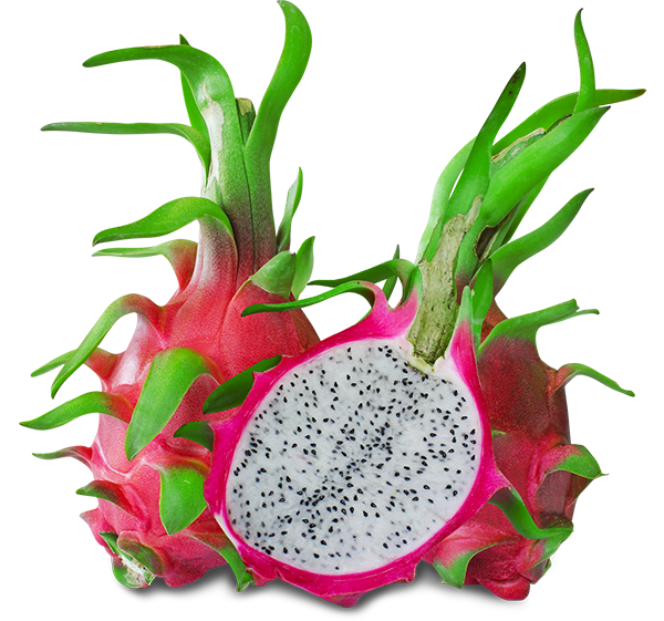 Fresh White Dragon Fruit Wholesale Price Size 250-650gr Red Pink Skin White Flesh Fresh Vietnam Manufacturer - Image 4
