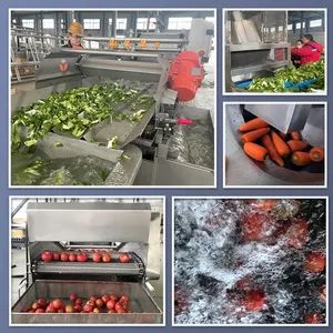 Strong Quality Vegetable Washing Equipment Sweet Potato Washing Machine - Image 2