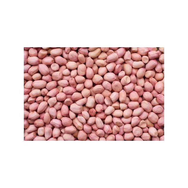 Wholesale Raw Kernel Peanuts High Quality - Image 2
