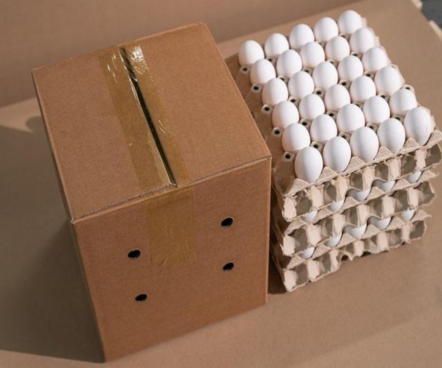 Fresh Class A Chicken/Hen Shell Eggs - Image 3
