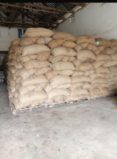 Cocoa Beans Origin Nigeria Bean Type Forastero Degree of Processing Raw - Image 3
