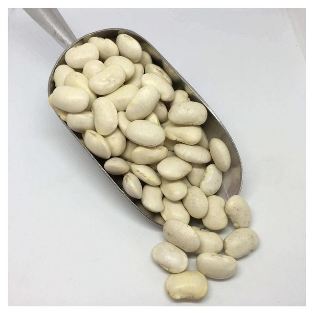 Lima Beans / Butter Beans At Affordable Price Grade A Type Butter Bean Shape Oval-shaped Fiber Content Rich Max. Moisture (%) 5 - Image 2