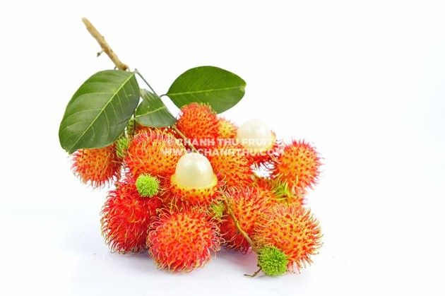 Export Standard Rambutan Fresh Fruit Sweet Taste Natural Cultivation Type Packed in Carton Box Agriculture Use - Image 5