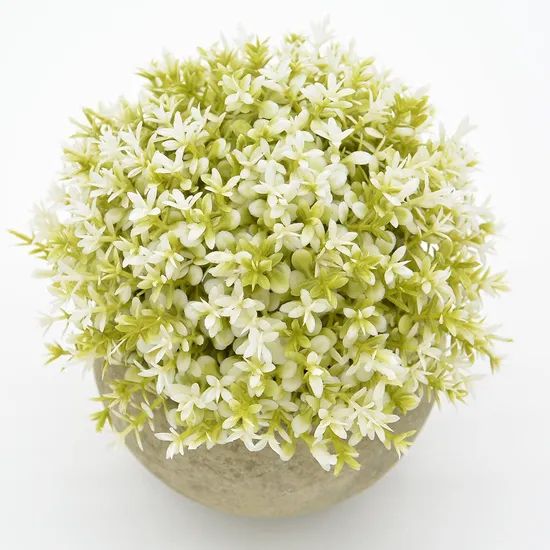 Fast Delivery Simple Plastic Artificial Plants Potted - Image 3