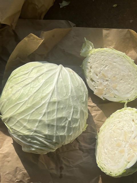 Cabbage - Image 2