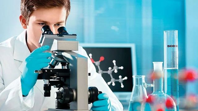 Chemical  Testing Services Duration 3 Days Service Mode Offlne Chemical Type In-Organic Report Soft And Hard Copy Service Location Pan - Image 1