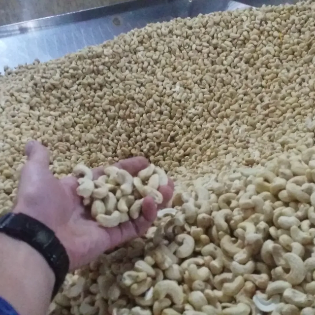 BUY W240 LARGE WHOLE CASHEW NUTS WITH BALANCED SIZE,TEXTURE AND VALUE BEST CASHEW NUTS FOR FOOD SERVICE - Image 1