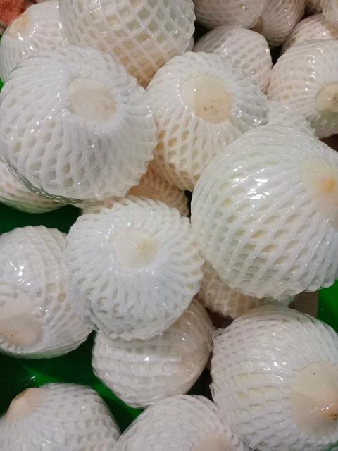 Diamond shape, young coconut Grade Class A Port Ho Chi Minh Type Xiem Variety Grown In Mekong Delta Packaging 9 pcs/carton - Image 3