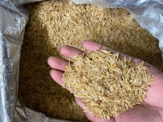 Rice - Image 3