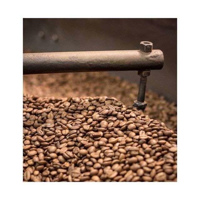 Bulk sale robusta coffee beans stocked with attractive low price for global procurement - Image 2