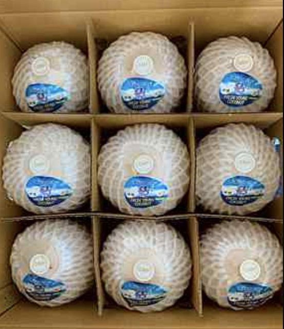 Fresh Coconut (Aromatic Thai Coconut) - Image 1