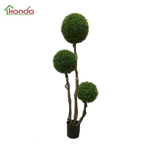 Hight Quality Topiary Tree Grass Boxwood Hedge Plant Color Green Style Bonsai Trademark Konda Delivery by Sea Model NO. - Image 1