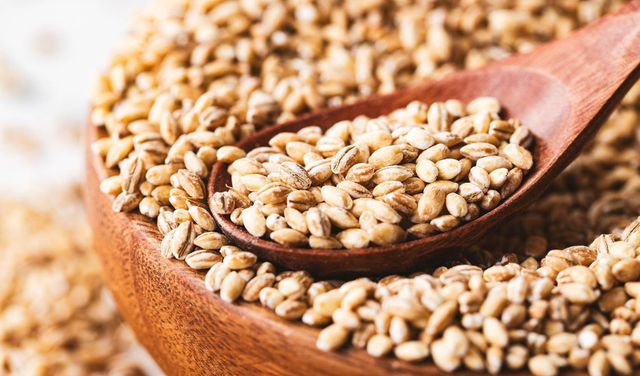 Barley grain wholesale bulk stock available with quality certification - Image 3