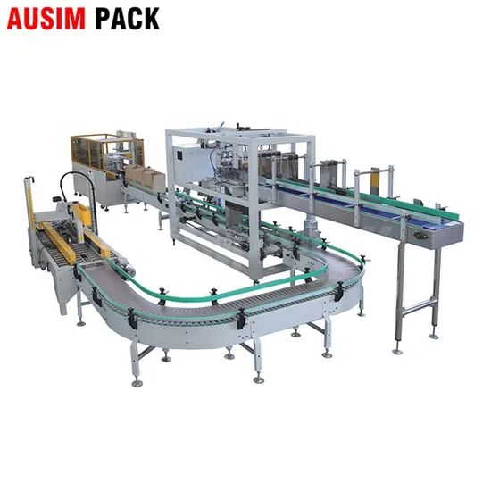 Automatic Low Cost Case Packer Carton Case Packing Machine - Image 2