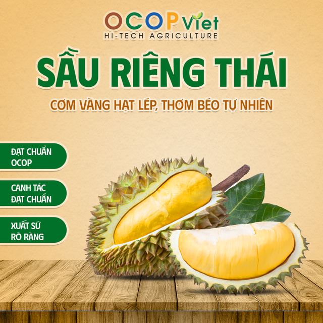 Sầu riêng Thái - Thai Durian - Image 1