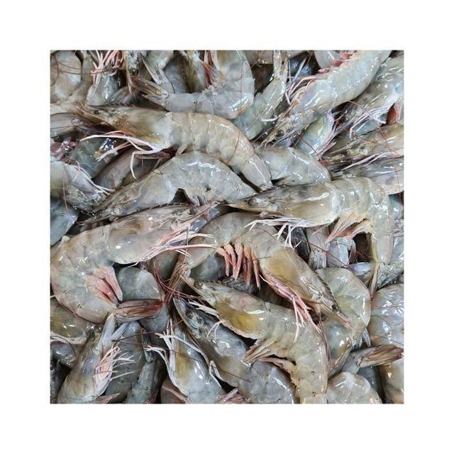 Factory Price Frozen Shrimps Ready For Wholesale Distribution And Export - Image 4