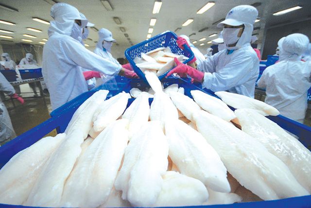 Basa Fish Fillet Filletfillet Frozen Basa Fish Fillet Origin Vietnam Style Iqf Frozen Fat Content Fat Off Shelf Life 24 - Image 6