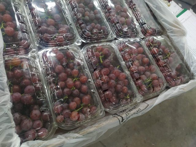 Fresh Grapes  – product photo 5, product detail gallery