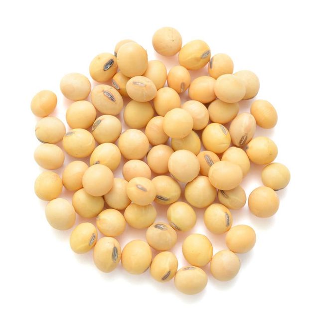 Disease Resistant Soybean Seed Robust And Healthy Soybean Seed Ensuring Stable Yields And Farm Profitability - Image 5