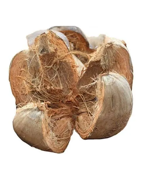 Wholesale Coconut Husk For Distribution - Image 4