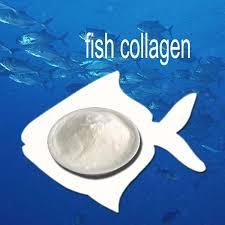 Fish Collagen Peptide - Image 1