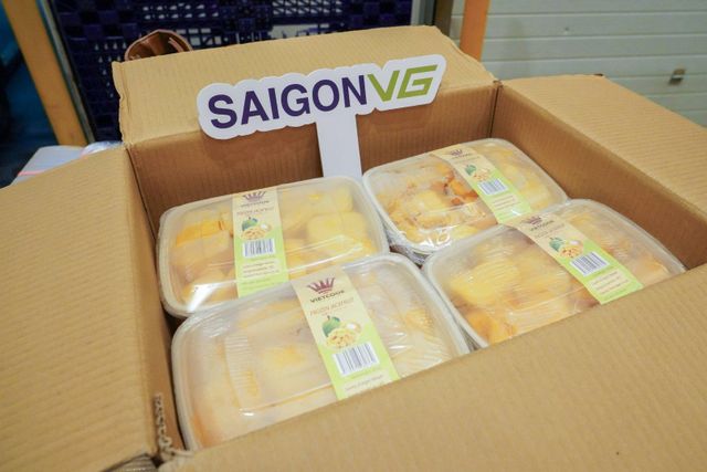 Vietnam Frozen Jackfruit – Seedless & Sweet | Premium IQF & Fresh Export Supplier - Image 3