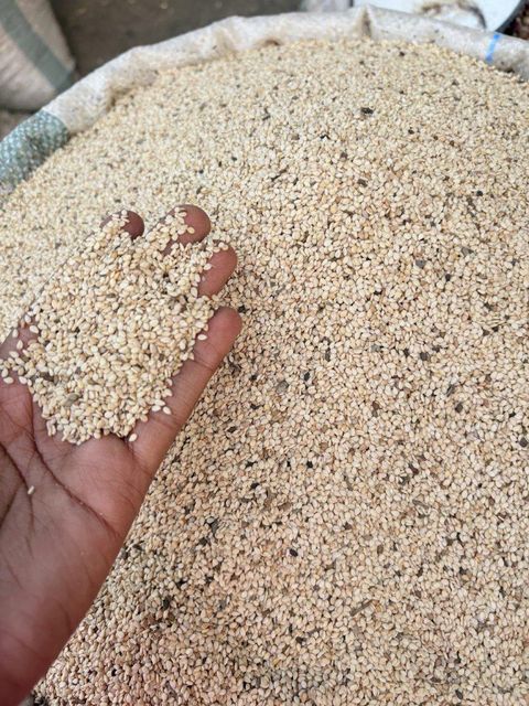 Seseme seeds – product photo 2, product detail gallery