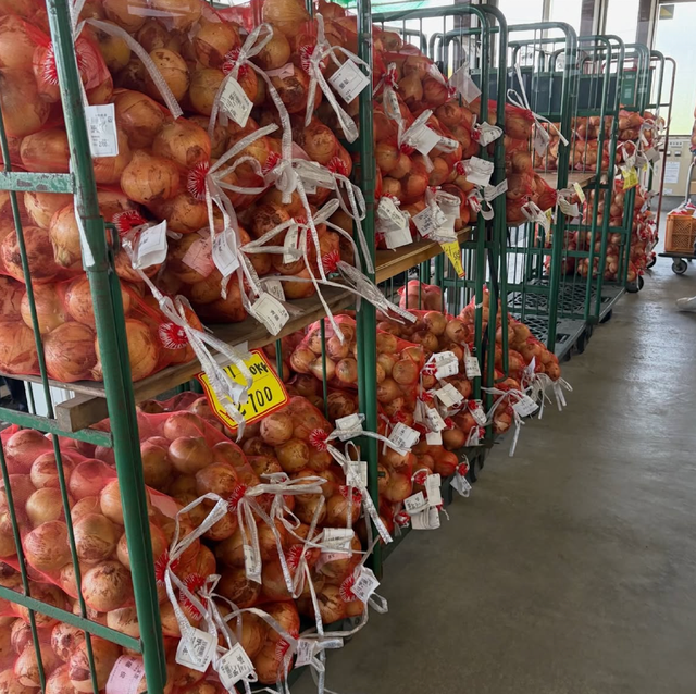 Export Grade Quality Fresh Harvest Premium Fresh Yellow Onions 80mm Export 10Kg,60kg Bags On Sale - Image 2