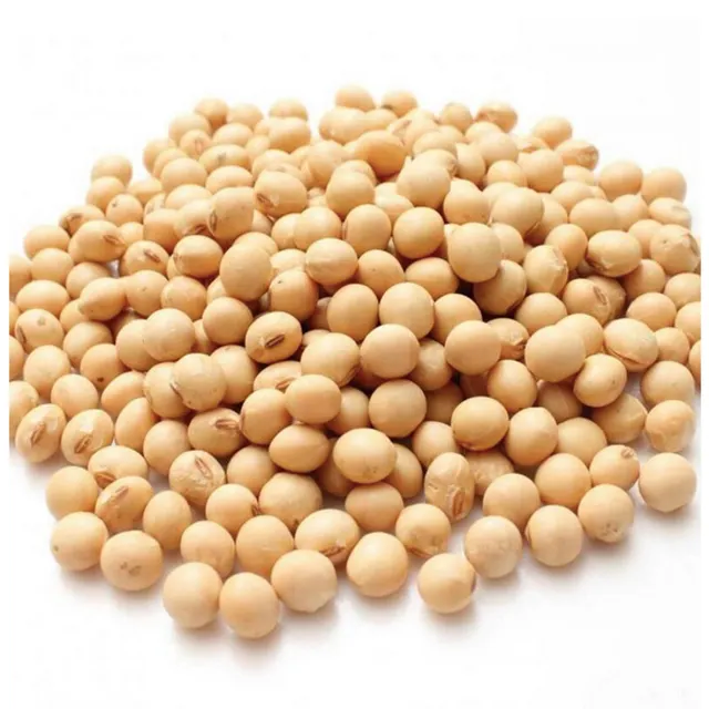 Soybean Wholesale - Image 1