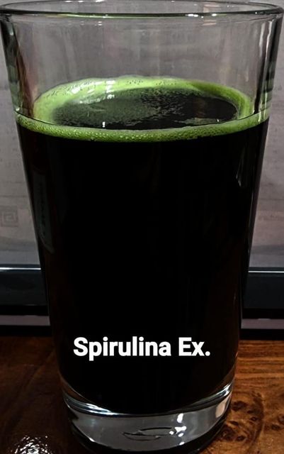 Spirulina liquid extract 20% Concentration - Image 1