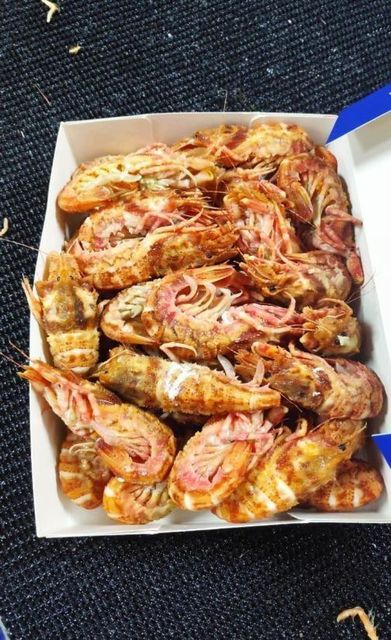 Frozen Cold Water Shrimp 50/70 Shrimps Bear Size 50/70 Texture Natural Type Cold Water Shrimp Place of Origin Russia Availability 9,081.6 Kg - Image 1