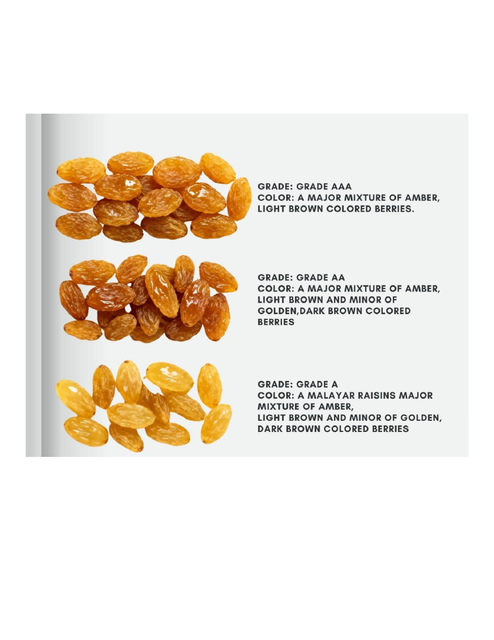 Golden Raisins, Indian Golden Raisins,Raisin, Raisins bulk supplier from india, Jumbo Raisins - Image 3
