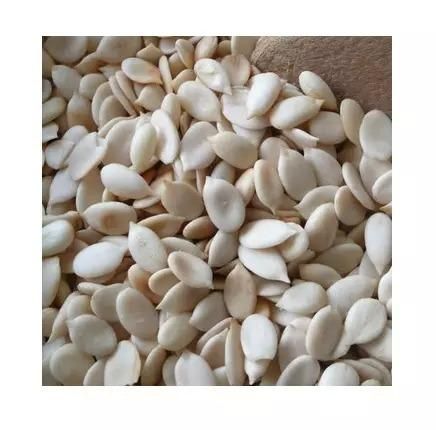 bulk sesame seeds for wholesale distribution high quality seeds with consistent quality and long shelf life suitable for retailers distributors and food industriesbulk sesame seeds for wholesale distribution high quality seeds with consistent quality and long shelf life suitable for retailers distributors and food industries - Image 5