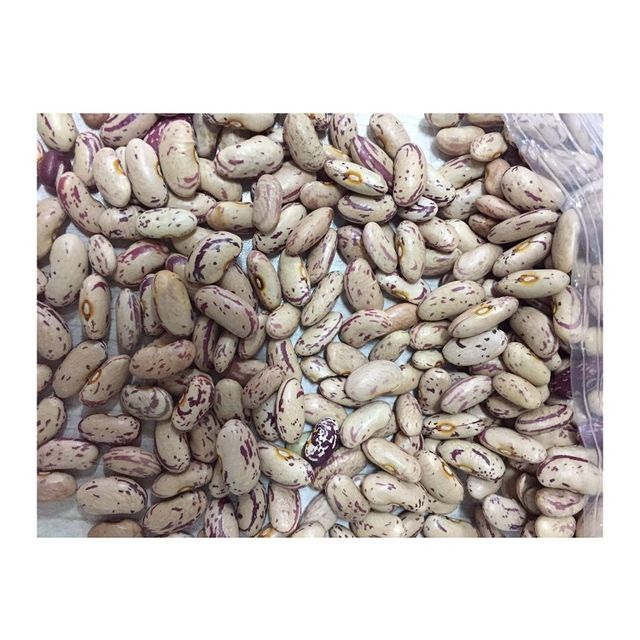 Organic Pinto Beans Sugar Beans / Kidney Beans / Red Kidney Beans - Image 1