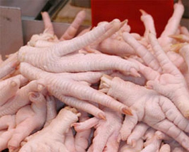 Wholesale Frozen Chicken Body Feet High Quality Vacuum Pack Export Supplier Fast Delivery Premium Grade - Image 4