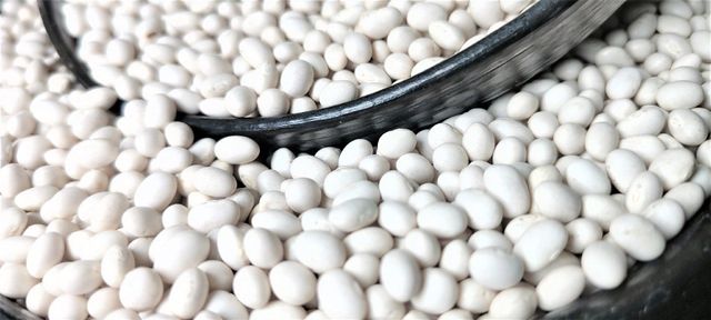2024 Ethiopian Origin White Pea Beans Hand-Picked Round shape Wholesale Dried New Crop Available in Bulk Quantity - Image 4