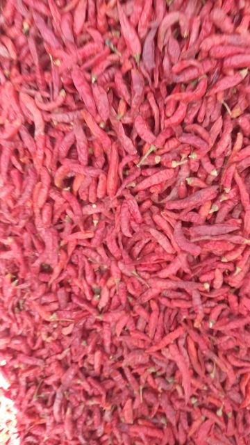 Whole Dried Red Chilli - Image 3