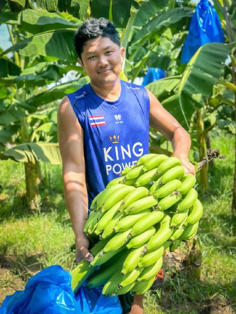 Fresh Green Cavendish Bananas in 13.5kgs Carton Box Style Fresh Origin Thailand Type BANANA, Banana Color Green, Yellow - Image 3