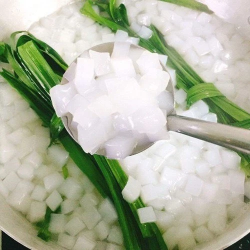 Raw Nata de Coco - Premium Coconut for Food Processing - Image 4