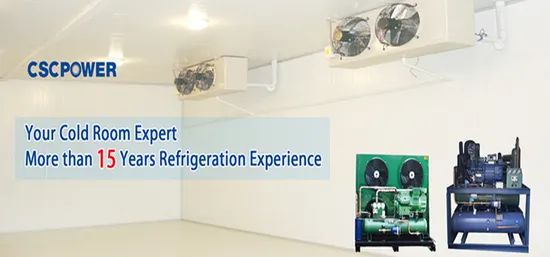 Customized Dimension Blast Freezer with Other Compressor Brand - Image 5