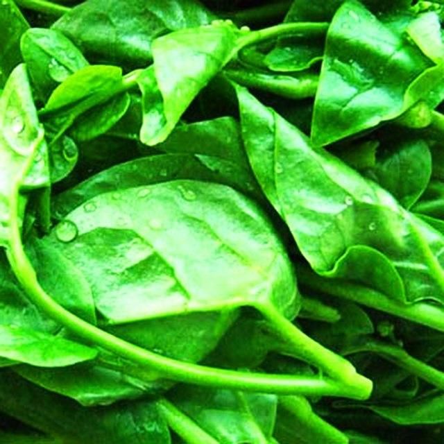 Fresh organic vegetable malabar spinach Style Fresh Color Green Type vegetables Packaging 5kg / carton Cultivation Type - Image 3