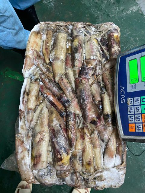 Seafood & Aquatic Products Hygiene Hygienic Freshness Always Fresh Source Best Sources In Indonesian Waters Shelf Life Maintained Through Modern Cooling - Image 1