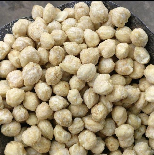 Candlenut (Kemiri) - Image 3