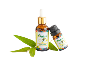 Lemon eucalyptus - 100% pure natural steam distilled oil - Image 4