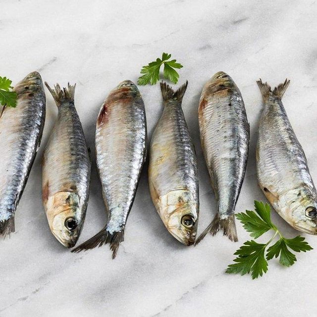 Frozen Whole Sardine Fish With Rich Nutrition And Fresh Seafood Quality Perfect Choice For Cooking Processing - Image 1