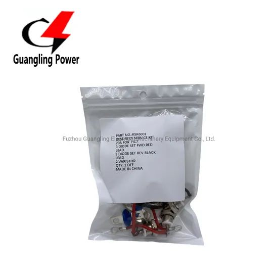 Rotating Bridge Rectifier Diode Kit Rsk2001 for Generator Rsk1001 Rsk2001 Rsk5001 Rsk6001 - Image 2