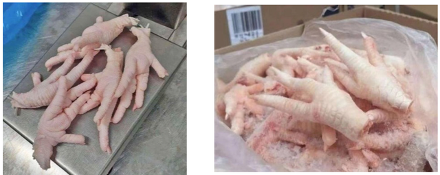 Frozen Chicken paws Place of Origin - Image 1