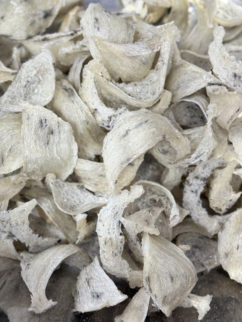 Premium Refined Bird’s Nest from Mekong Delta Vietnam - Image 6